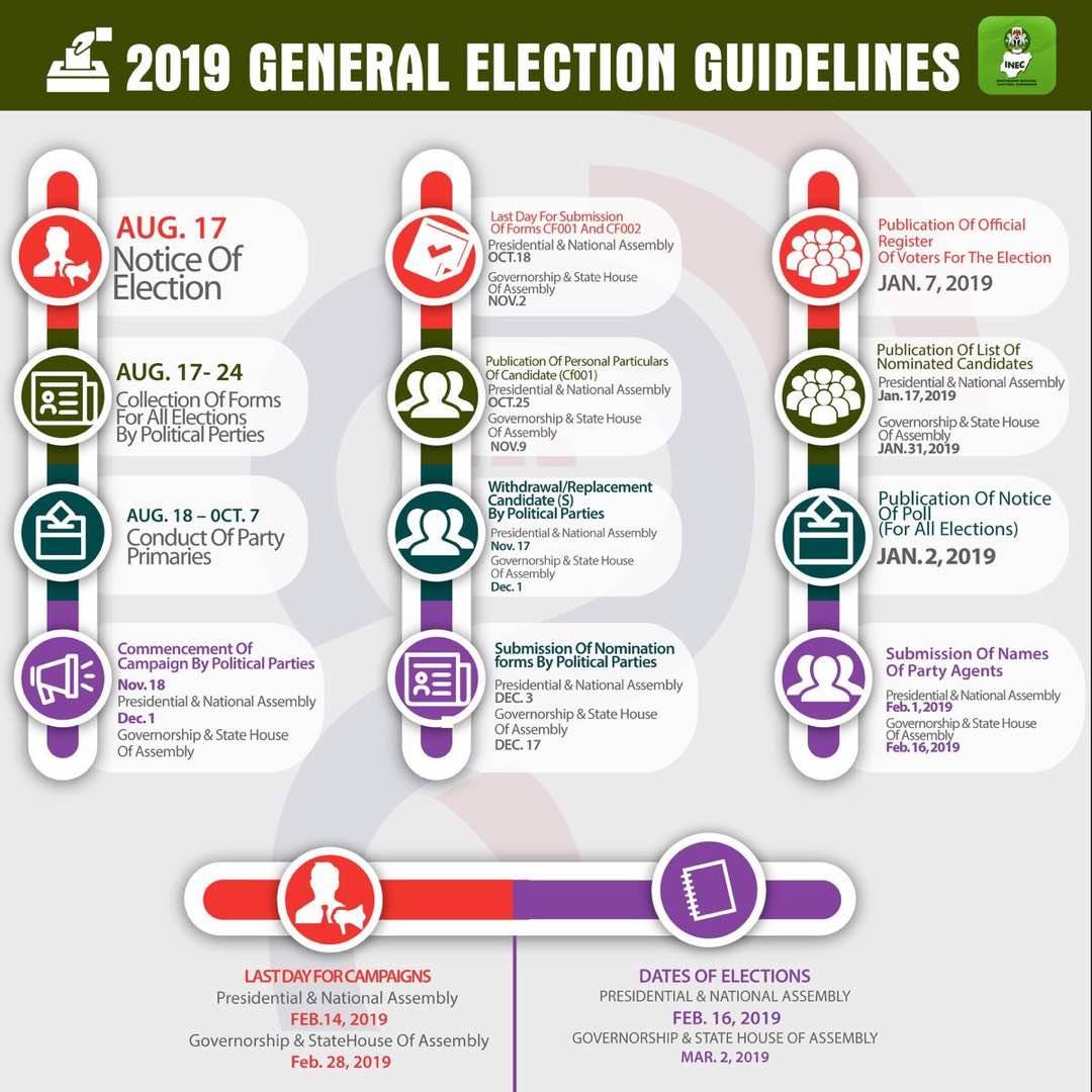 Why the election primaries matter